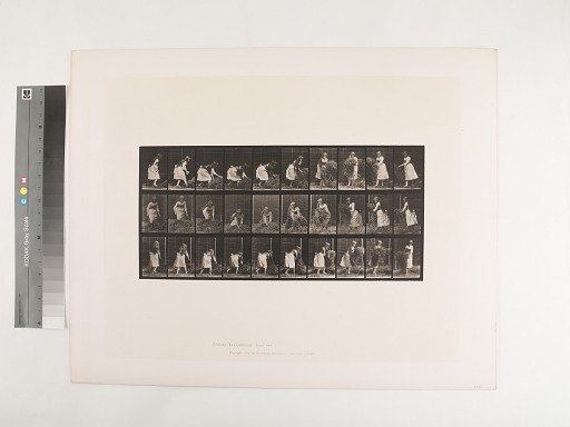 Animal Locomotion. Plate 458.