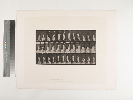 Animal Locomotion. Plate 459.