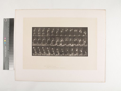 Animal Locomotion. Plate 460.