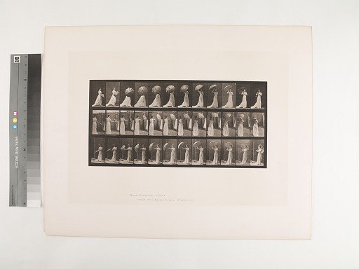 Animal Locomotion. Plate 461.