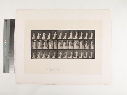 Animal Locomotion. Plate 462.