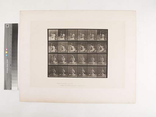 Animal Locomotion. Plate 466.