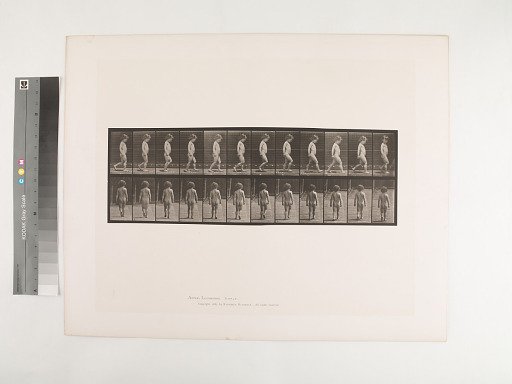 Animal Locomotion. Plate 467.