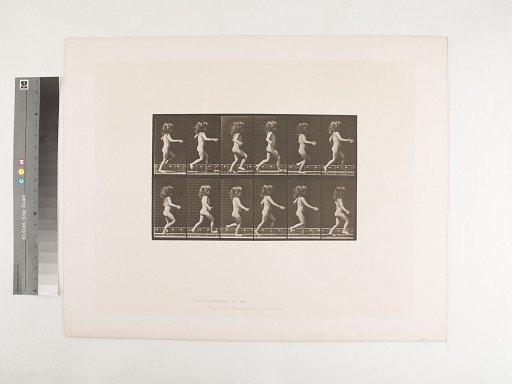 Animal Locomotion. Plate 469.