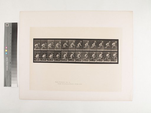 Animal Locomotion. Plate 472.