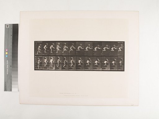 Animal Locomotion. Plate 474.
