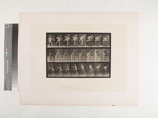 Animal Locomotion. Plate 475.