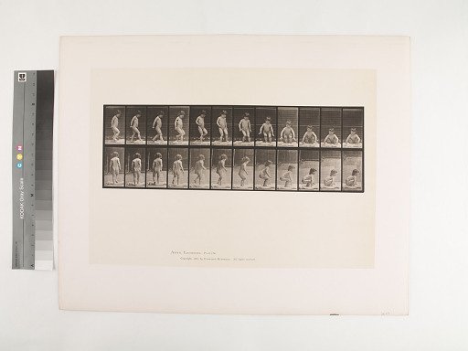 Animal Locomotion. Plate 476.