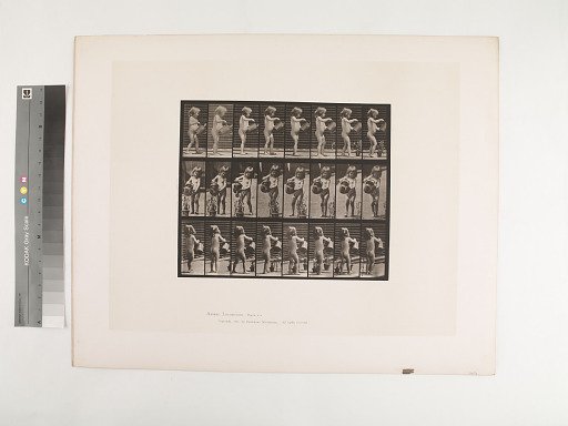 Animal Locomotion. Plate 478.