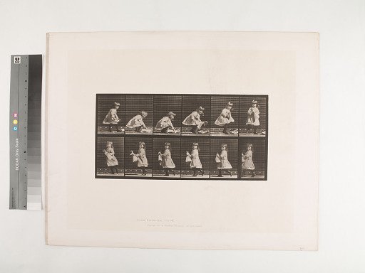 Animal Locomotion. Plate 481.