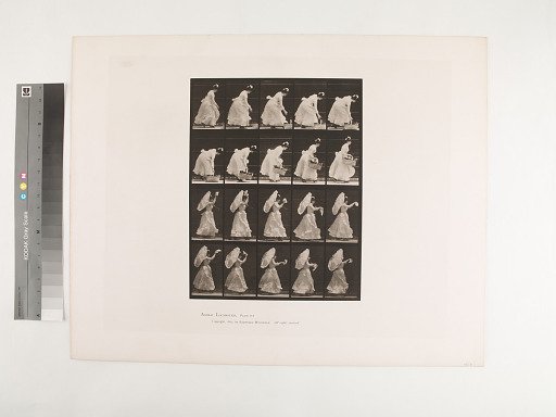 Animal Locomotion. Plate 483.