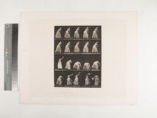 Animal Locomotion. Plate 484.