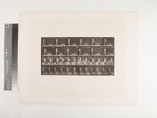 Animal Locomotion. Plate 485.