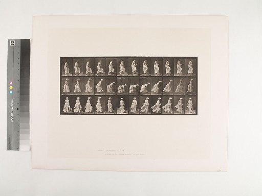Animal Locomotion. Plate 487.