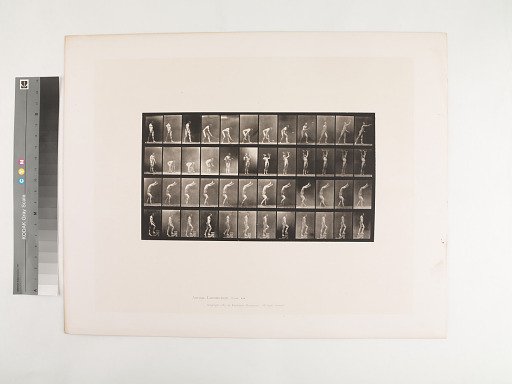 Animal Locomotion. Plate 487.