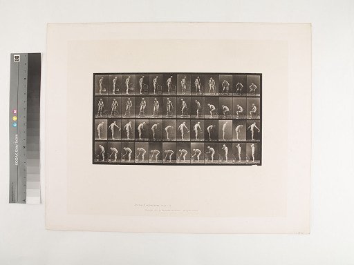 Animal Locomotion. Plate 490.