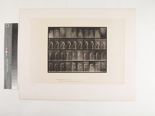 Animal Locomotion. Plate 491.