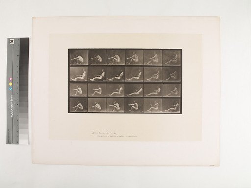 Animal Locomotion. Plate 492.