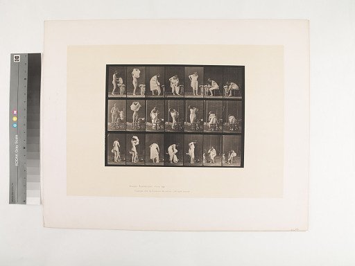 Animal Locomotion. Plate 493.