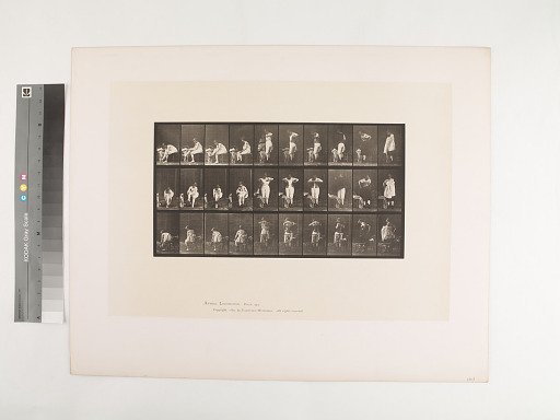Animal Locomotion. Plate 494.