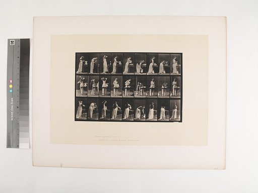 Animal Locomotion. Plate 496.