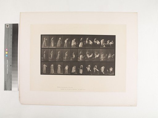 Animal Locomotion. Plate 497.