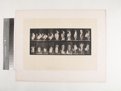 Animal Locomotion. Plate 498.