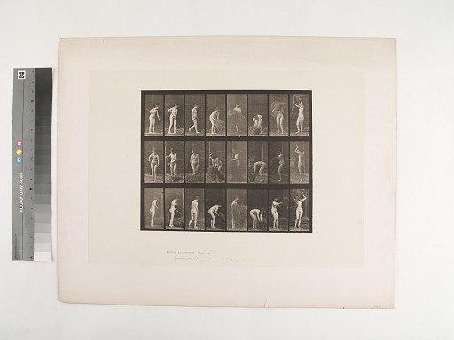 Animal Locomotion. Plate 499.