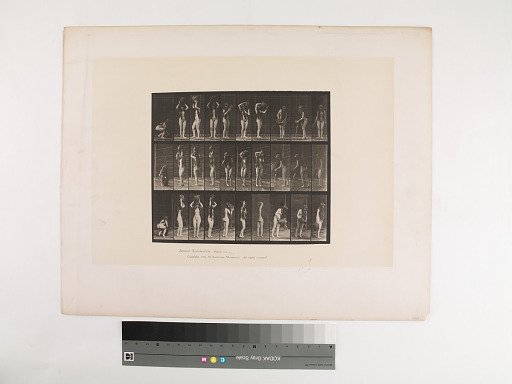 Animal Locomotion. Plate 500.