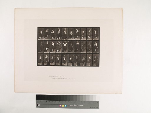 Animal Locomotion. Plate 504.