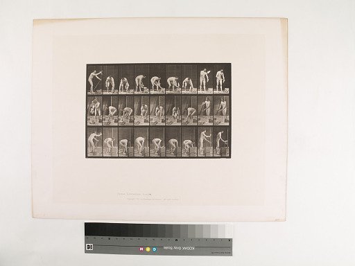 Animal Locomotion. Plate 505.