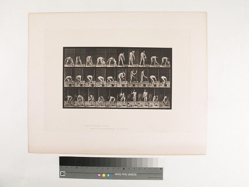 Animal Locomotion. Plate 506.