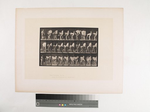Animal Locomotion. Plate 508.