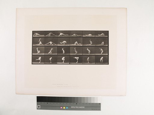 Animal Locomotion. Plate 510.