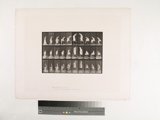 Animal Locomotion. Plate 513.