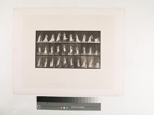 Animal Locomotion. Plate 515.