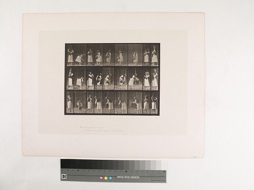 Animal Locomotion. Plate 516.