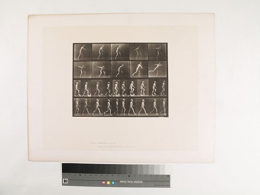 Animal Locomotion. Plate 519.