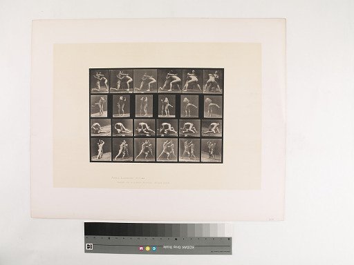 Animal Locomotion. Plate 520.