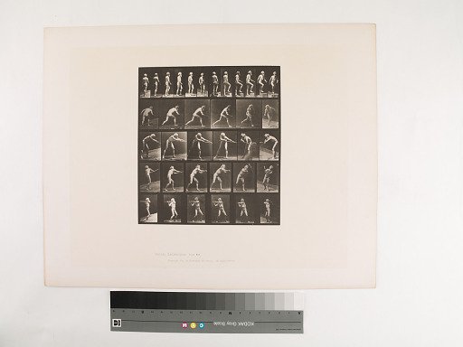 Animal Locomotion. Plate 521.