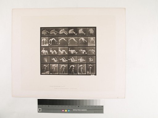 Animal Locomotion. Plate 522.