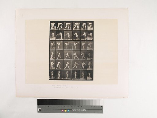 Animal Locomotion. Plate 526.