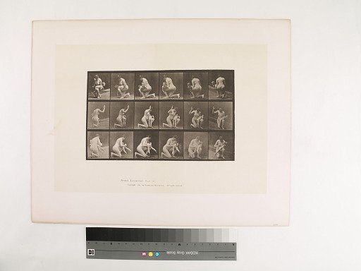 Animal Locomotion. Plate 527.