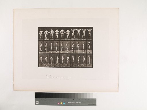 Animal Locomotion. Plate 530.