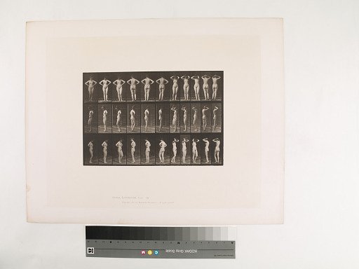 Animal Locomotion. Plate 531.