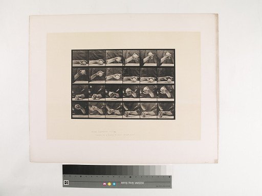 Animal Locomotion. Plate 534.