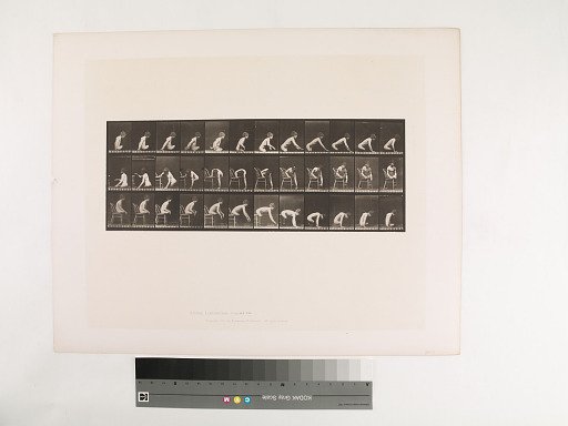 Animal Locomotion. Plate 538.