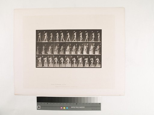 Animal Locomotion. Plate 541.