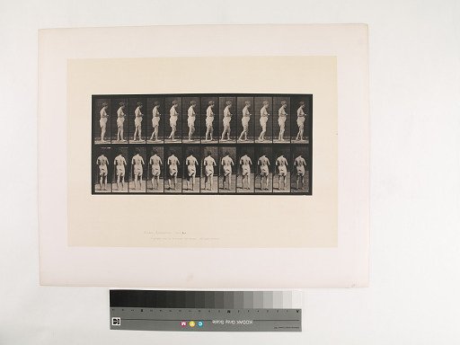 Animal Locomotion. Plate 542.