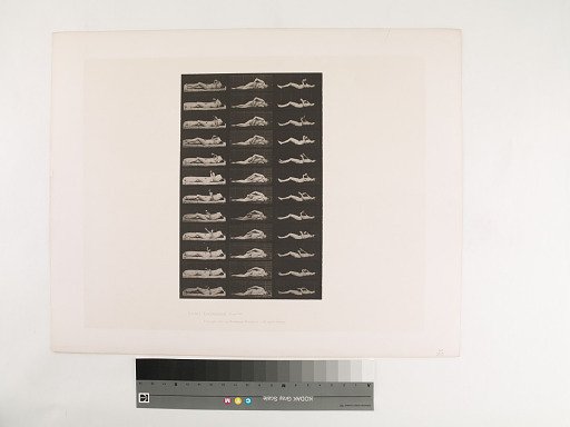 Animal Locomotion. Plate 544.